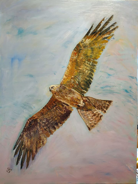 Jacsó Teodóra - Egy sólyom lebeg az égen - olaj, vászon 80 x 60